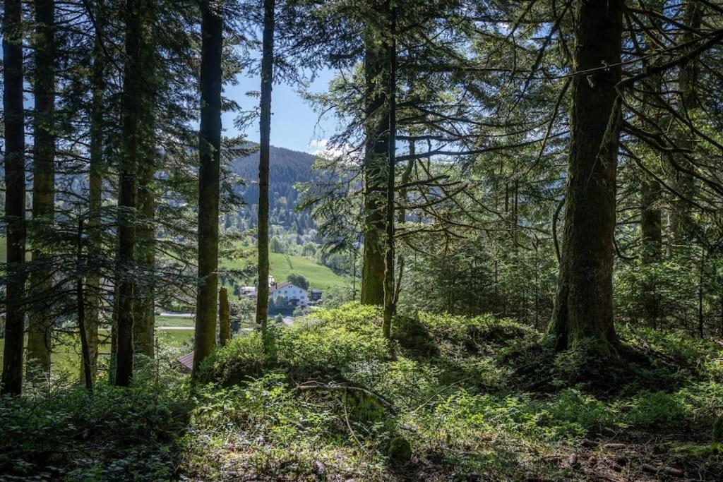 Charmant Chalet Cosy & Paisible En Pleine Nature - Refuge Idyllique Pour 5P Gérardmer Dış mekan fotoğraf