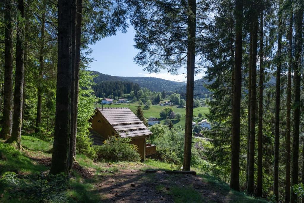 Charmant Chalet Cosy & Paisible En Pleine Nature - Refuge Idyllique Pour 5P Gérardmer Dış mekan fotoğraf